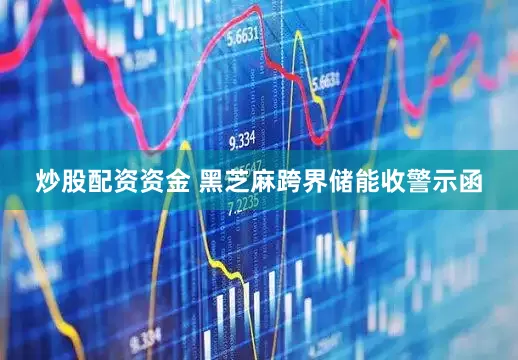 炒股配资资金 黑芝麻跨界储能收警示函