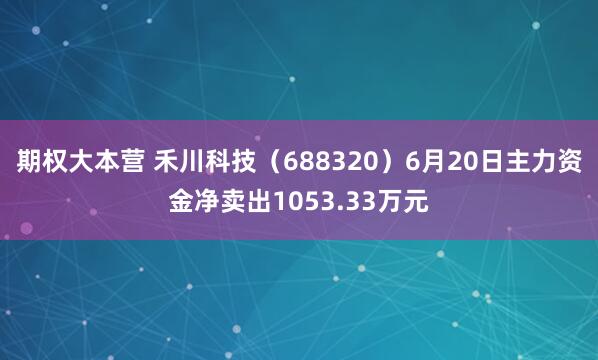 期权大本营 禾川科技（688320）6月20日主力资金净卖出1053.33万元
