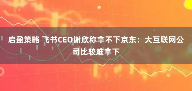 启盈策略 飞书CEO谢欣称拿不下京东：大互联网公司比较难拿下