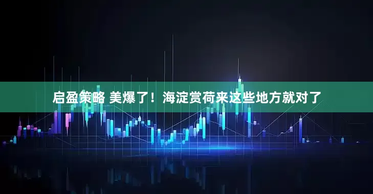 启盈策略 美爆了！海淀赏荷来这些地方就对了