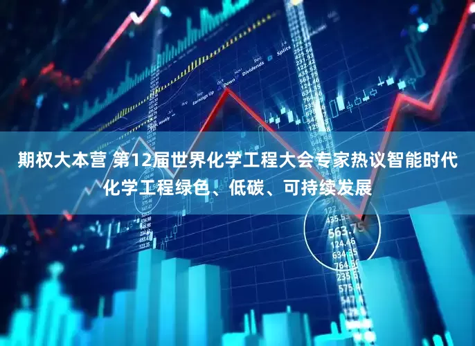 期权大本营 第12届世界化学工程大会专家热议智能时代化学工程绿色、低碳、可持续发展