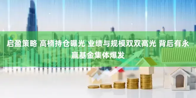 启盈策略 高楠持仓曝光 业绩与规模双双高光 背后有永赢基金集体爆发