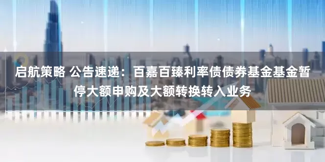 启航策略 公告速递：百嘉百臻利率债债券基金基金暂停大额申购及大额转换转入业务