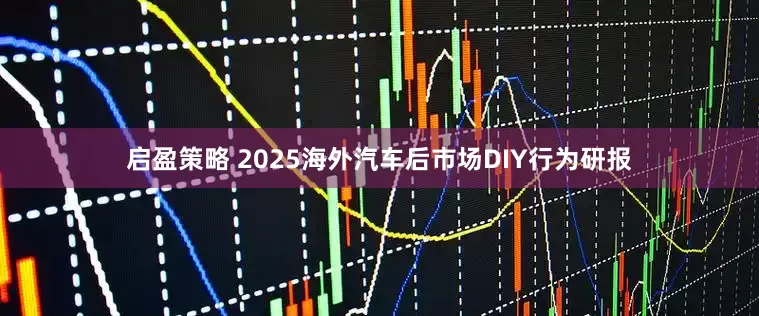 启盈策略 2025海外汽车后市场DIY行为研报